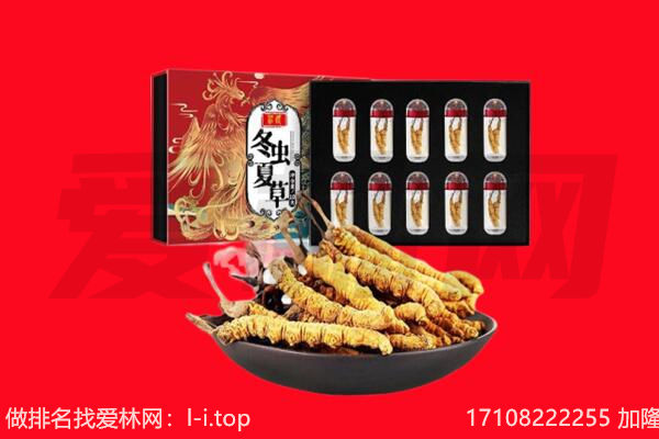 张掖市甘州回收虫草.jpg